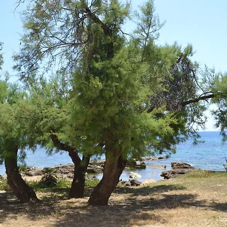 Apartmán Fronte Mare Capo San Marco *