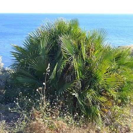 Fronte Mare Capo San Marco *